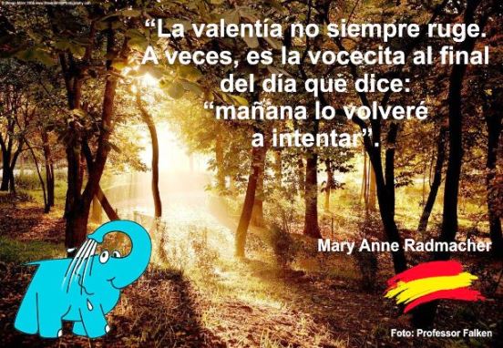 La valentía no siempre ruge. A veces, es la vocecita al final del día que dice: “mañana lo volveré a intentar”.